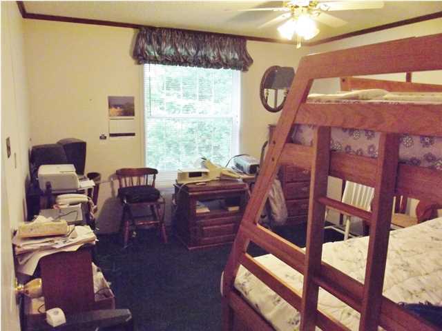 689 Euchee Chapel Road Spring City, TN 37381 - Photo 14 of 34 Additional Photo