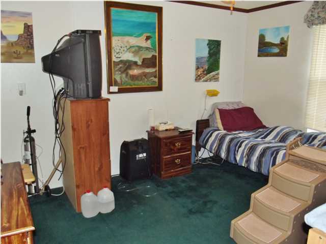 689 Euchee Chapel Road Spring City, TN 37381 - Photo 15 of 34 Additional Photo
