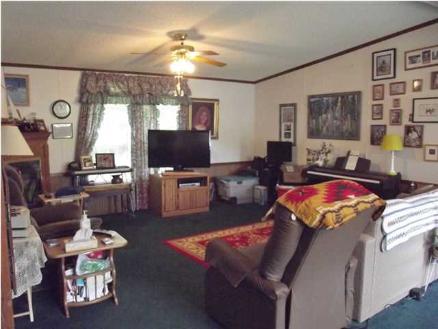689 Euchee Chapel Road Spring City, TN 37381 - Photo 10 of 34 Additional Photo