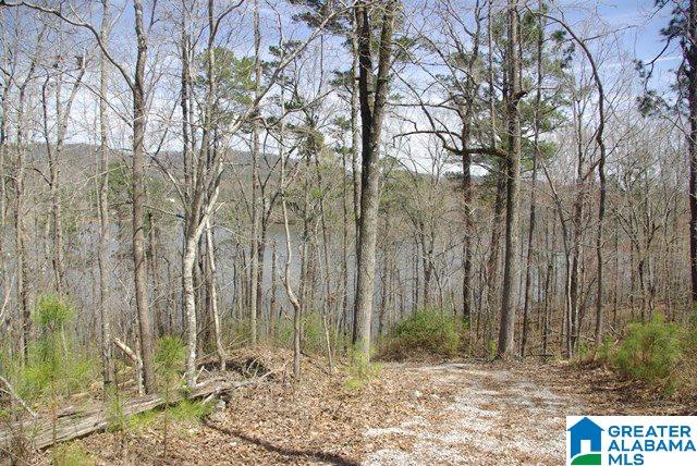2253 Waldrop Road, Unit 2 Ashville, AL 35953 - Photo 10 of 10