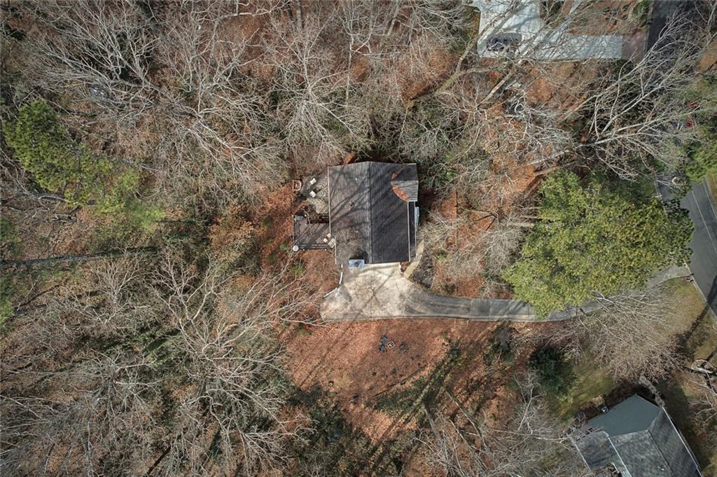 507 Spring Creek Way Northeast Marietta, GA 30068 - Photo 47 of 50 a view of a forest with a tree
