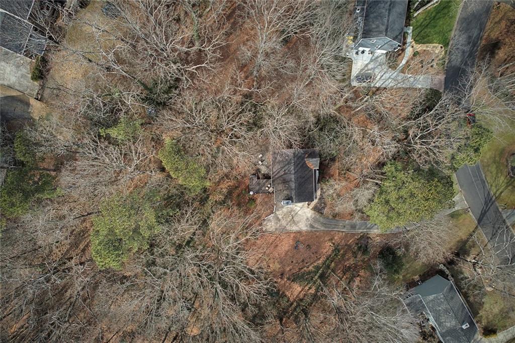 507 Spring Creek Way Northeast Marietta, GA 30068 - Photo 48 of 50 a view of a dry yard with lots of bushes