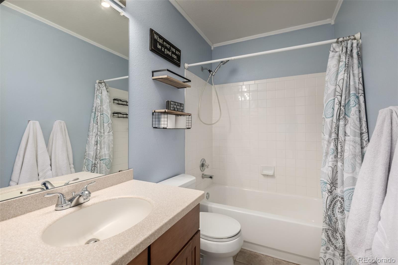 8894 Miners Street Highlands Ranch, CO 80126 - Photo 25 of 41 a bathroom with a sink toilet and shower