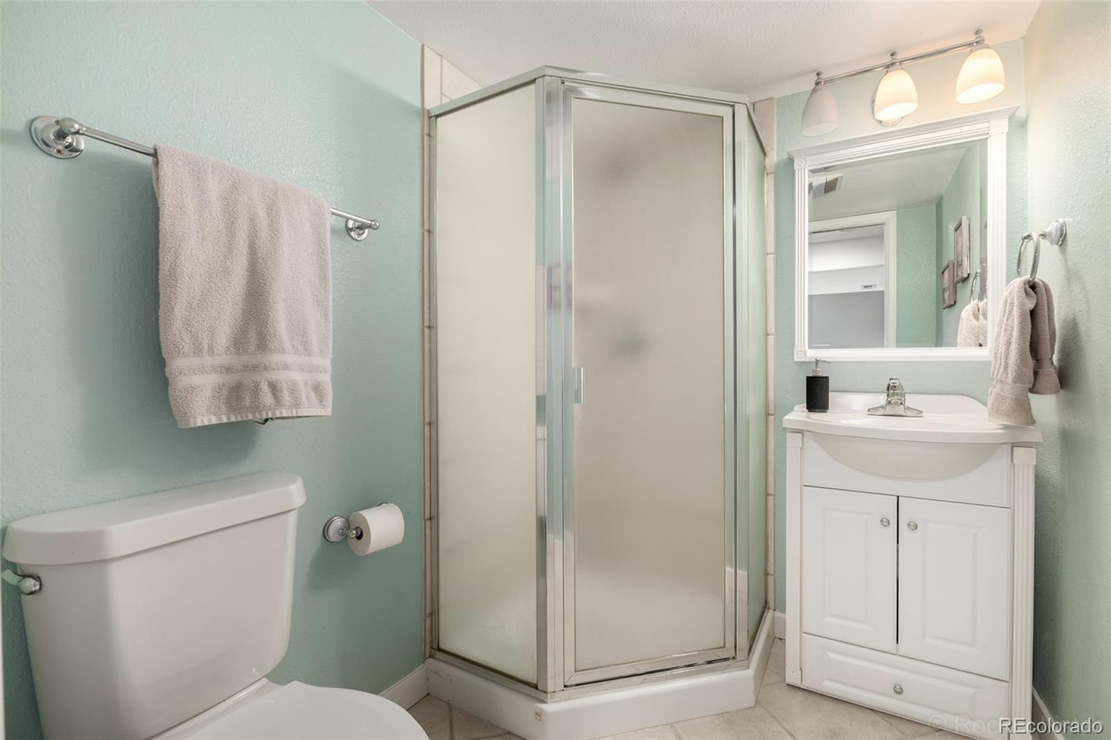 8894 Miners Street Highlands Ranch, CO 80126 - Photo 32 of 41 a bathroom with a shower a mirror and a sink
