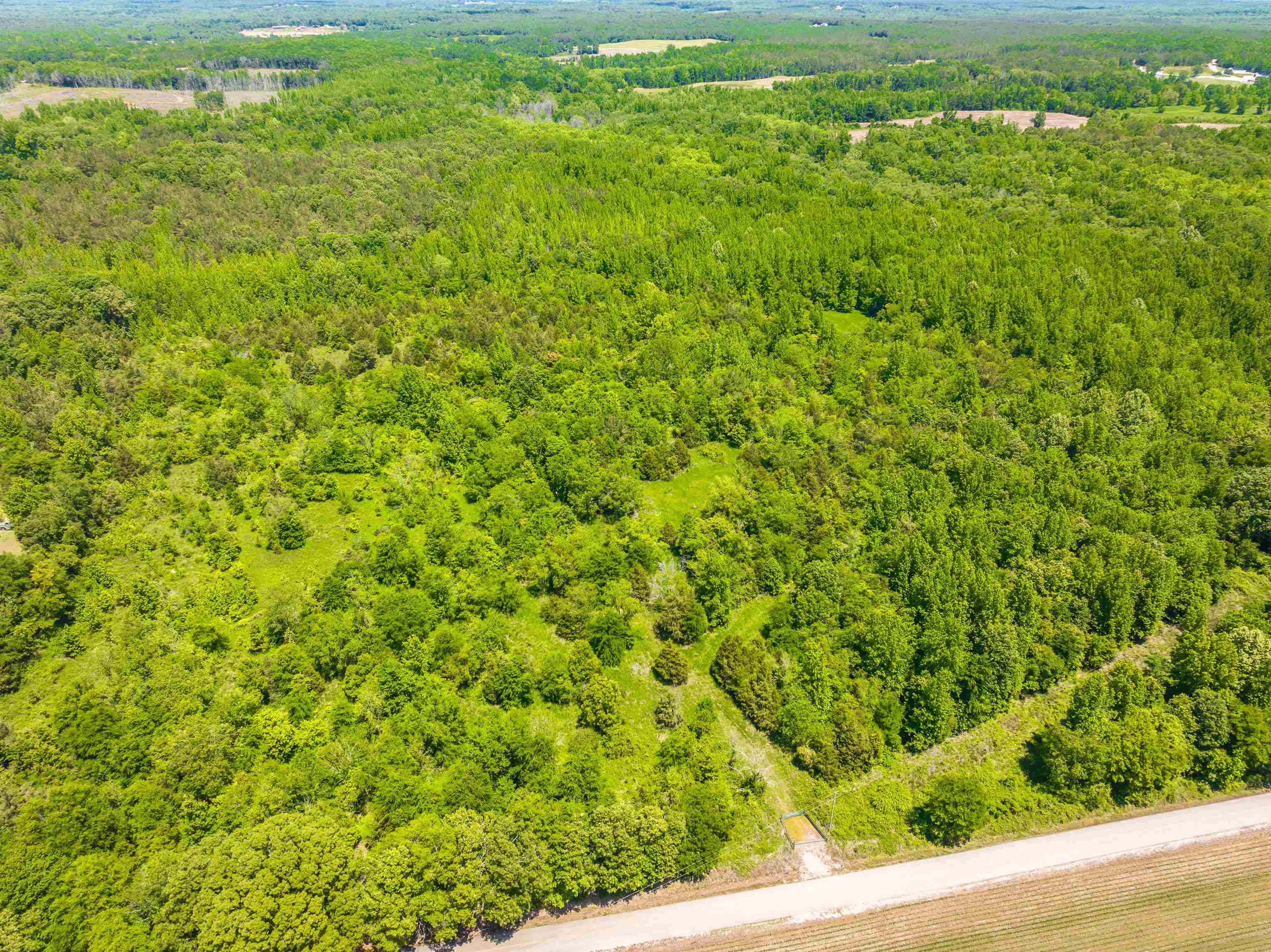 2340 Center Hill Road Finger, TN 38334 - Photo 16 of 21 a view of a large yard with plants and large trees