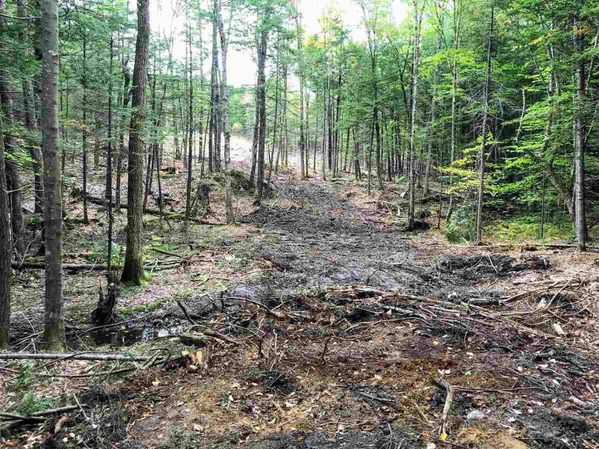 96 Seven Pines Road, Unit 14 Holderness, NH 03245 - Photo 12 of 25