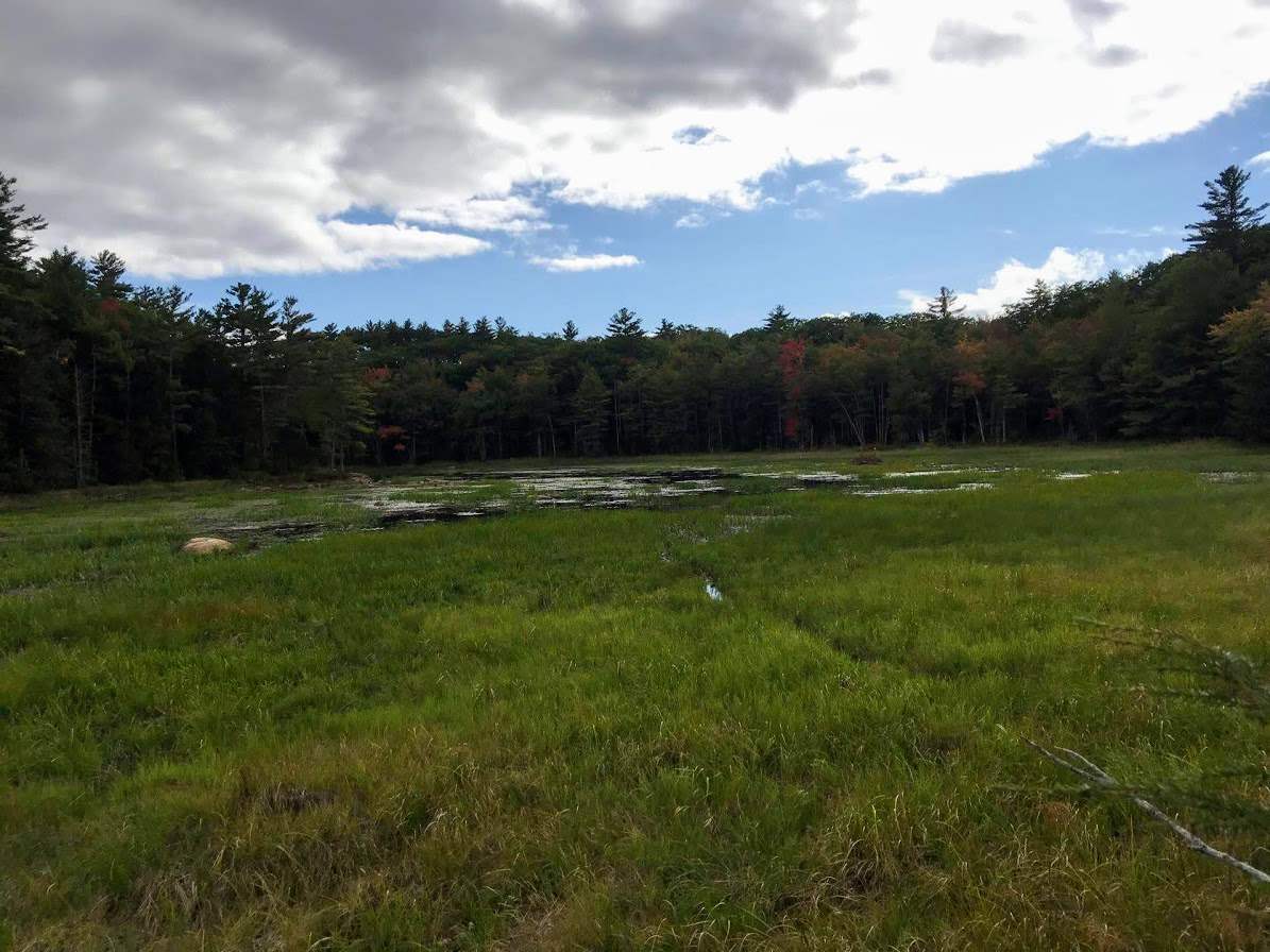 96 Seven Pines Road, Unit 14 Holderness, NH 03245 - Photo 15 of 25