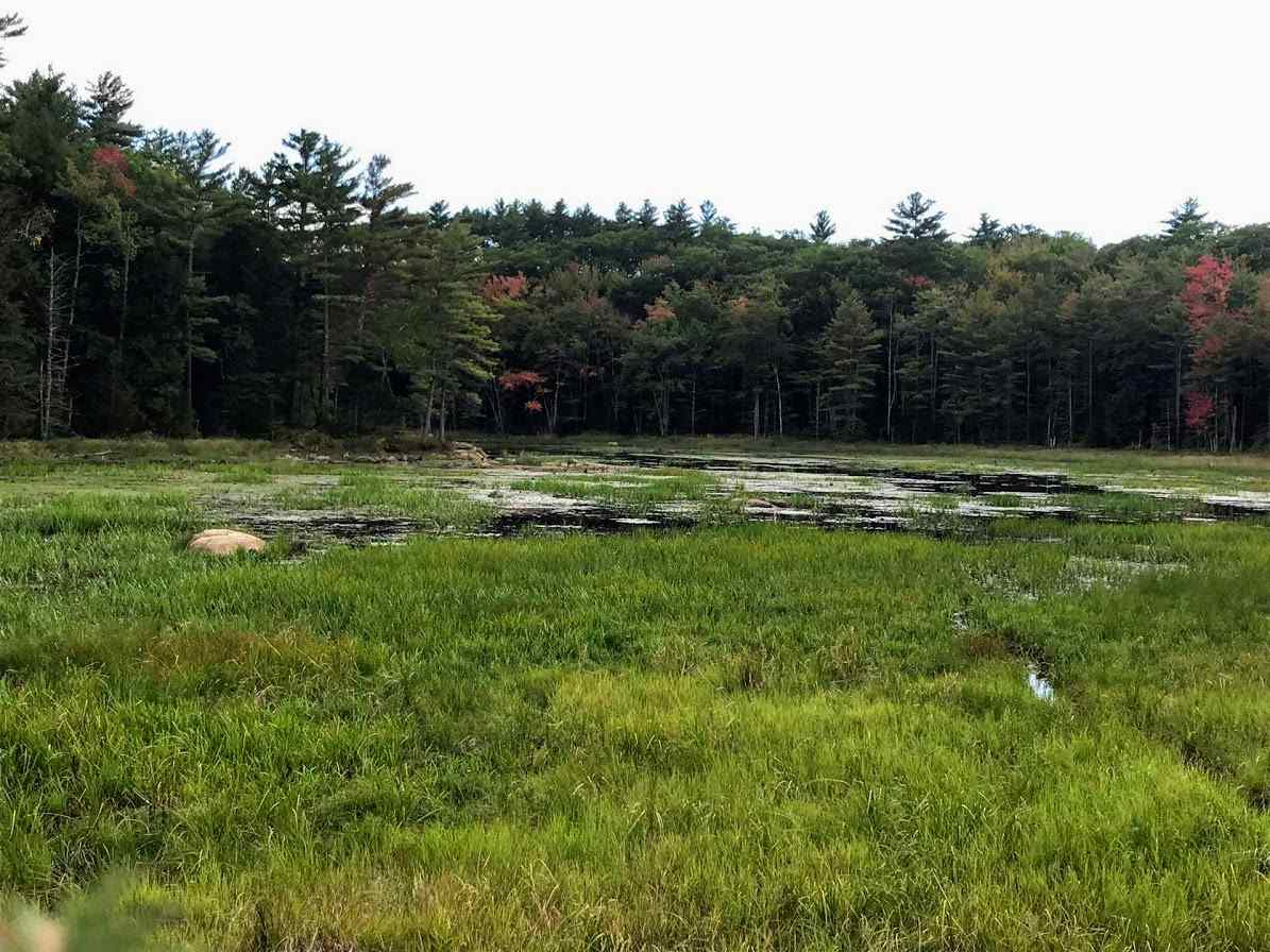 96 Seven Pines Road, Unit 14 Holderness, NH 03245 - Photo 18 of 25