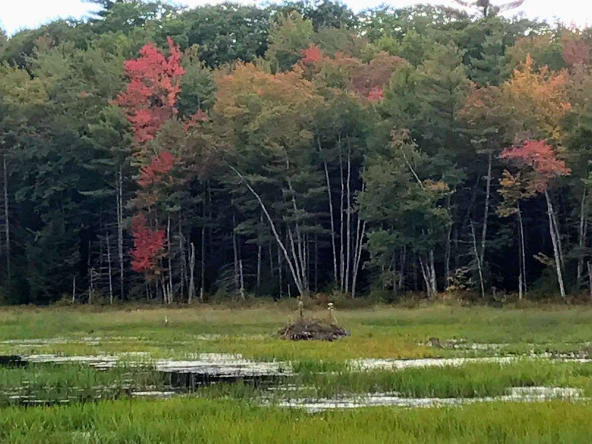 96 Seven Pines Road, Unit 14 Holderness, NH 03245 - Photo 19 of 25