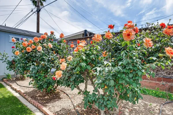 $1,950,000 | 5164 Montreal Drive, San Jose, CA 95130