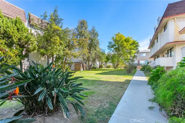 a view of backyard with plants and trees