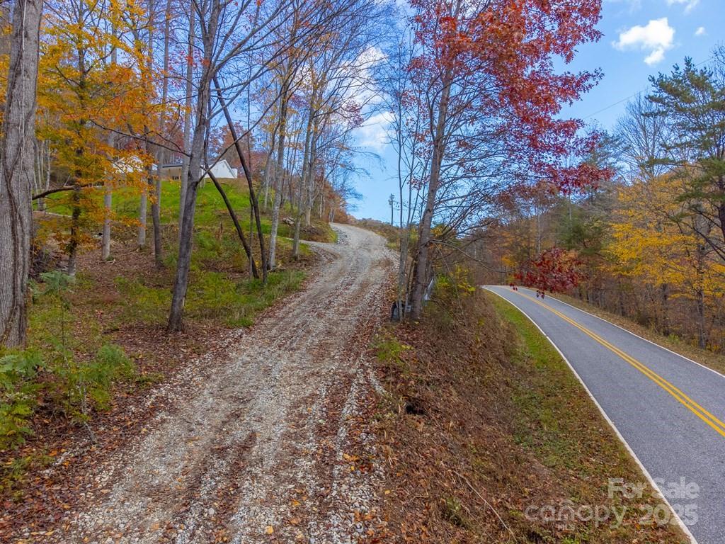 679 Firefly Road Whittier, NC 28789 - Photo 30 of 34 a view of a yard with an trees