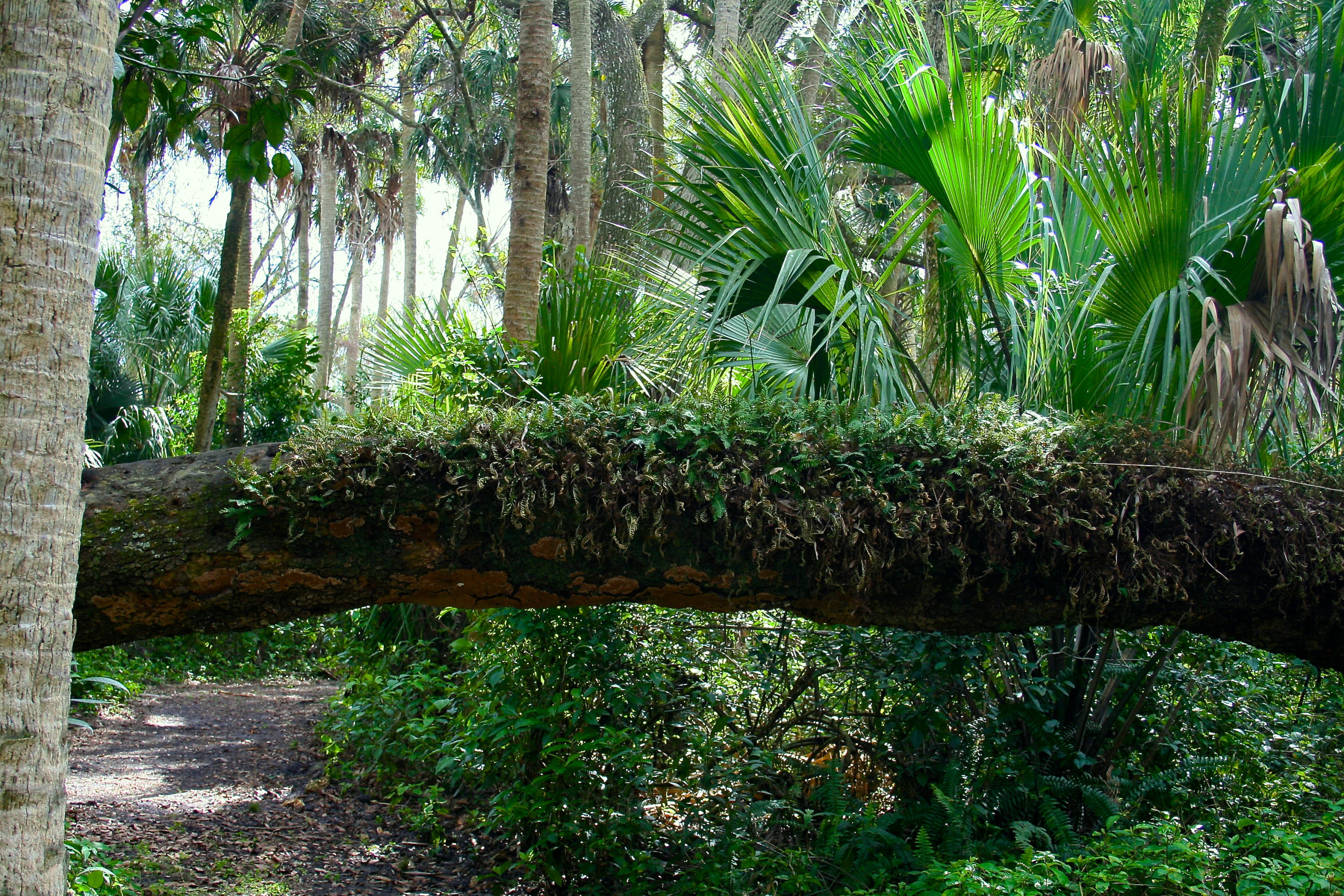 8841 First Tee Road Port St. Lucie, FL 34986 - Photo 142 of 228 114 Paleo Hammock Trail One