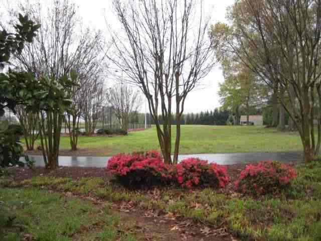 803 Reedy Fork Road Piedmont, SC 29673 - Photo 22 of 25 Gallery Image 22
