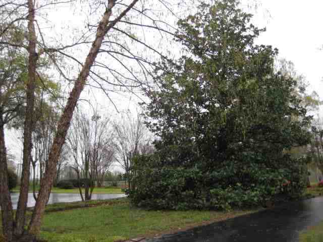 803 Reedy Fork Road Piedmont, SC 29673 - Photo 23 of 25 Gallery Image 23