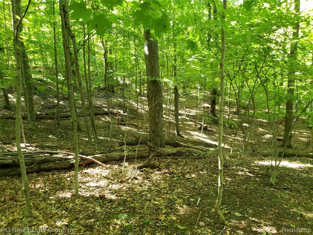 0 Charitoo Ridge Leonard, MI 48367 - Photo 28 of 34