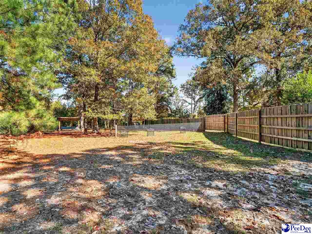 1155 Clyde Road Hartsville, SC 29550 - Photo 54 of 61 Gallery Image 54