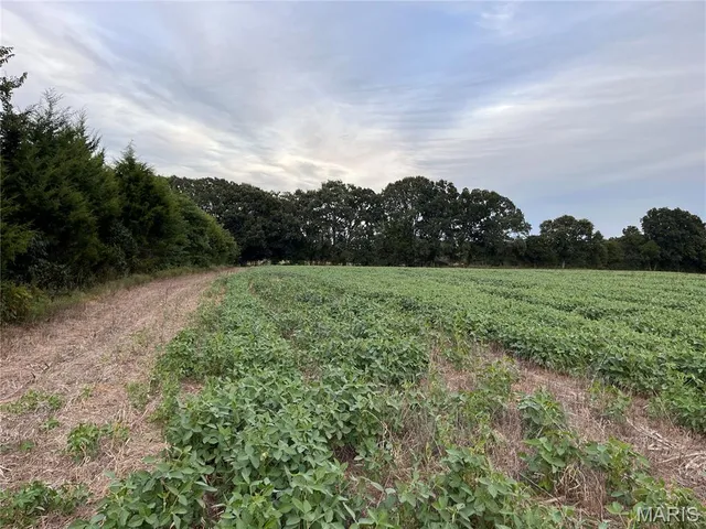 $150,000 | Tbd Tbd Big Sky Road, Beaufort, MO 63013