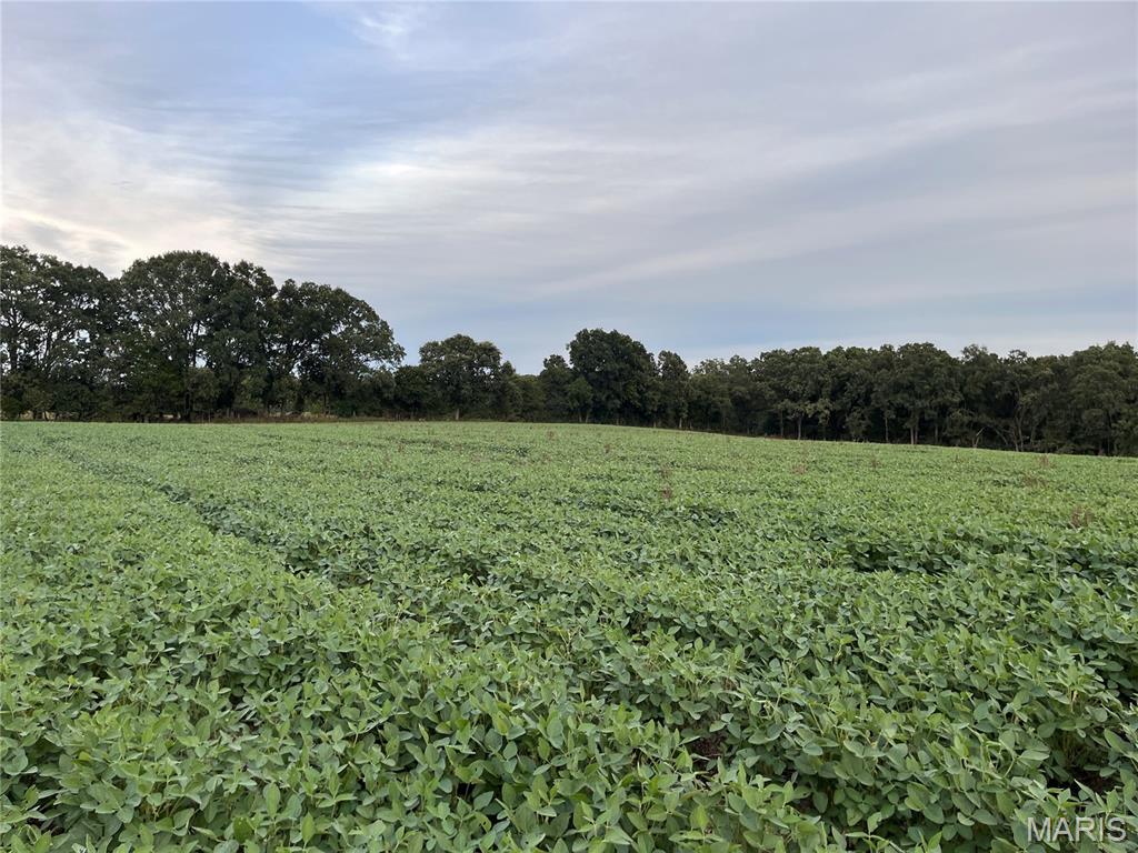 Tbd Tbd Big Sky Road Beaufort, MO 63013 - Photo 2 of 4