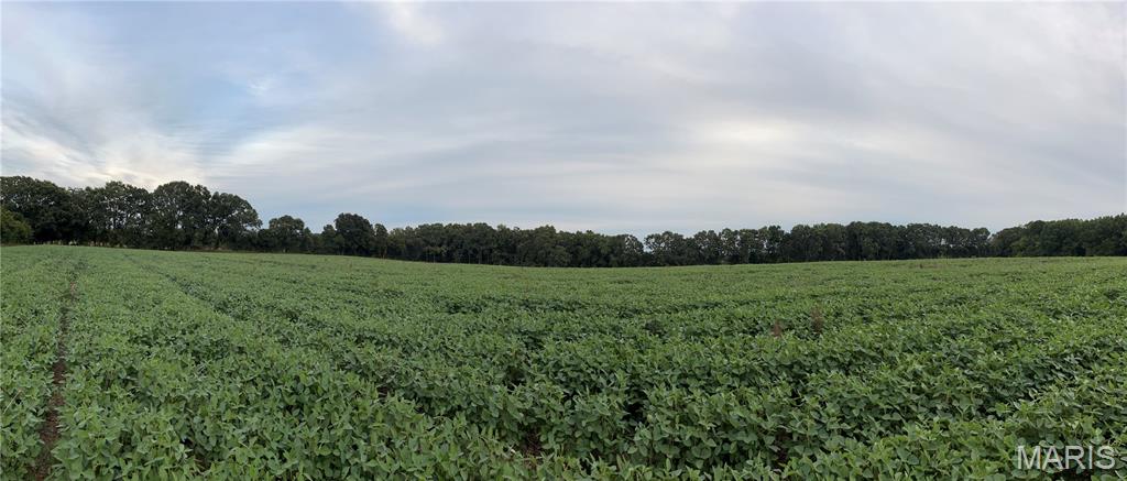 Tbd Tbd Big Sky Road Beaufort, MO 63013 - Photo 3 of 4