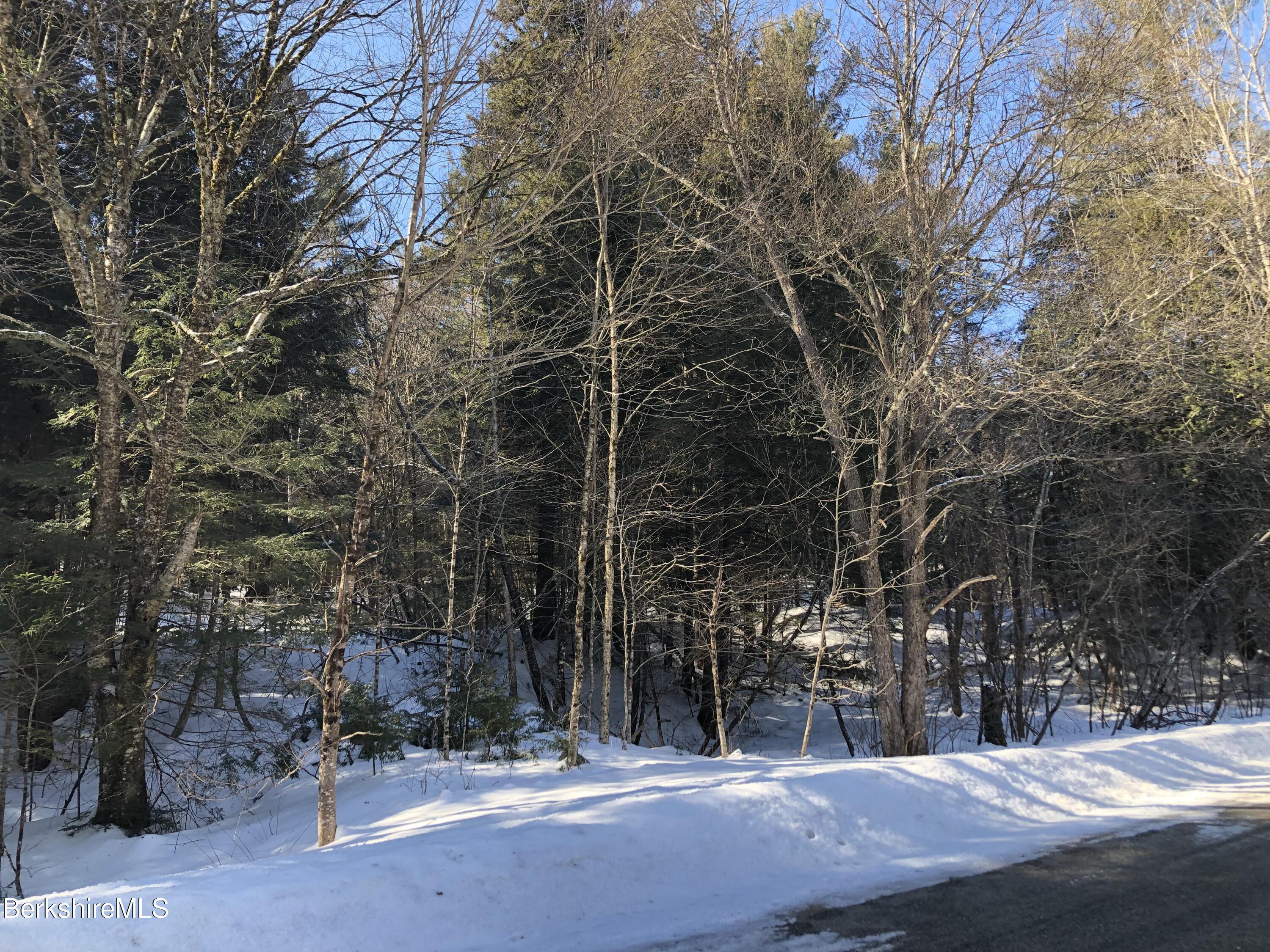 0 Old Rte 9 Windsor, MA 01270 - Photo 1 of 12 a view of a park with large trees