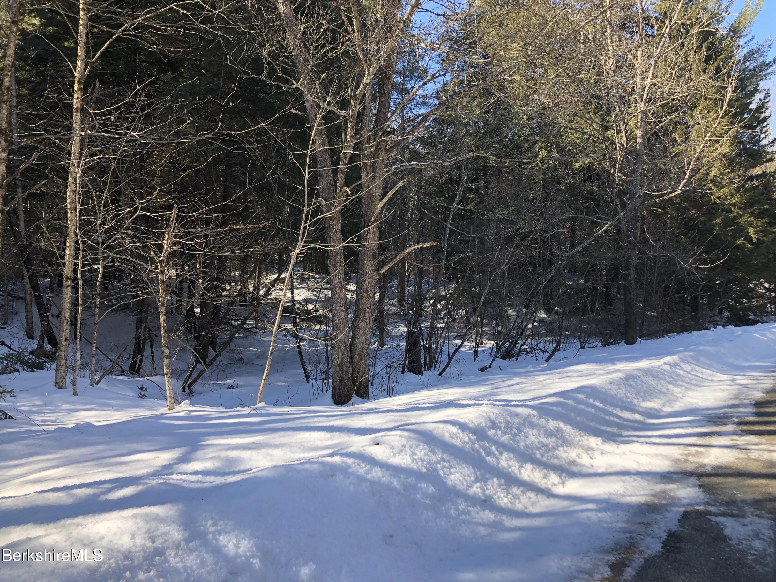 0 Old Rte 9 Windsor, MA 01270 - Photo 3 of 12 a view of outdoor space and basketball court