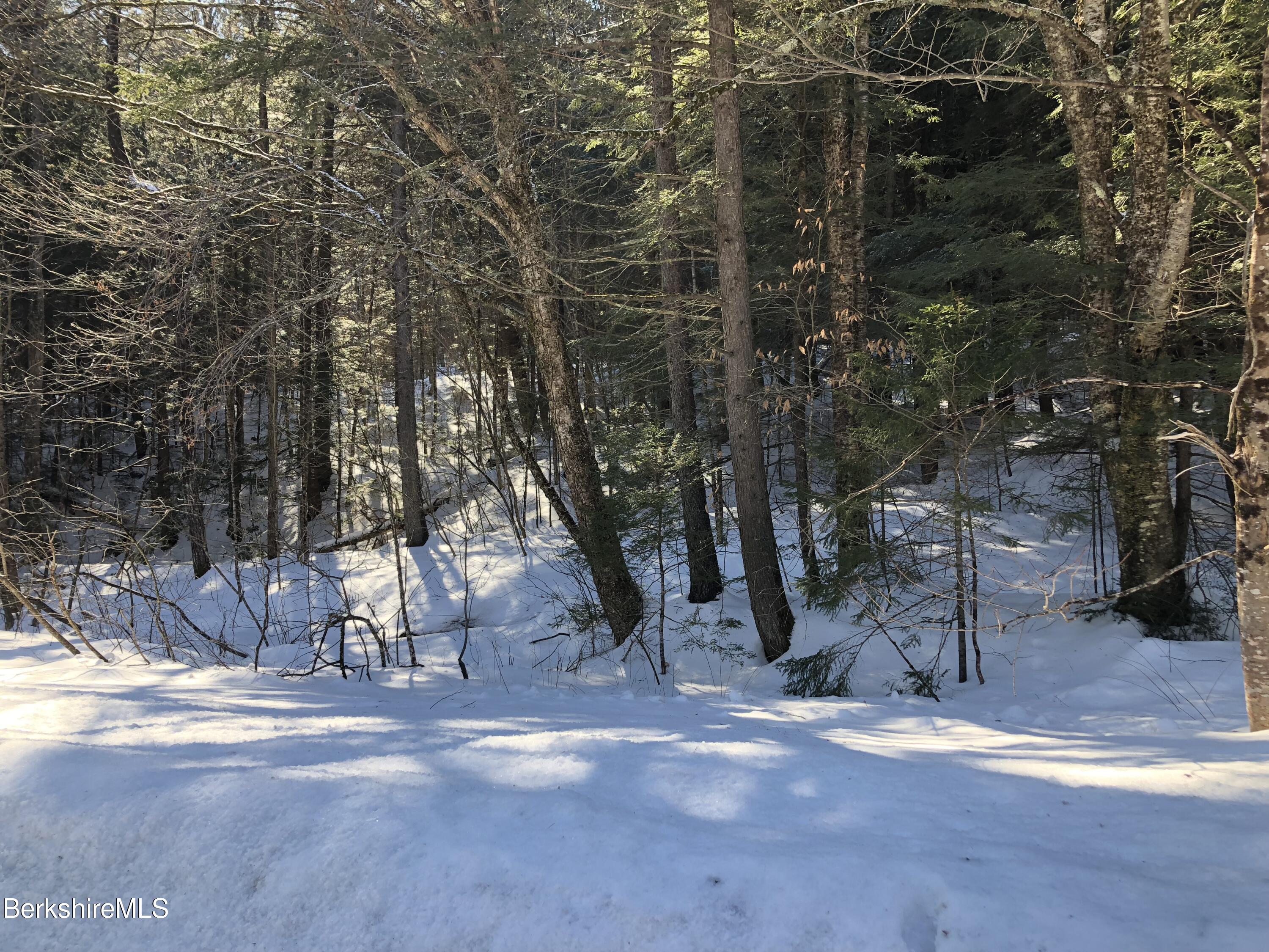0 Old Rte 9 Windsor, MA 01270 - Photo 5 of 12 a view of a forest with trees
