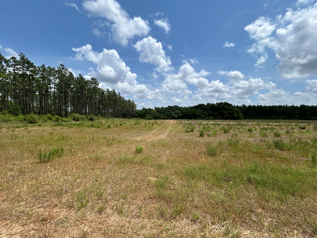 10907-44 -ac) Cty Road Hartford, AL 36344 - Photo 51 of 52