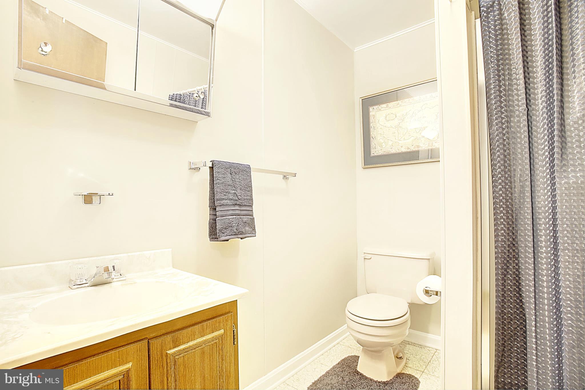 4 Richmond Road Front Royal, VA 22630 - Photo 21 of 30 Full Bathroom in Lower Level