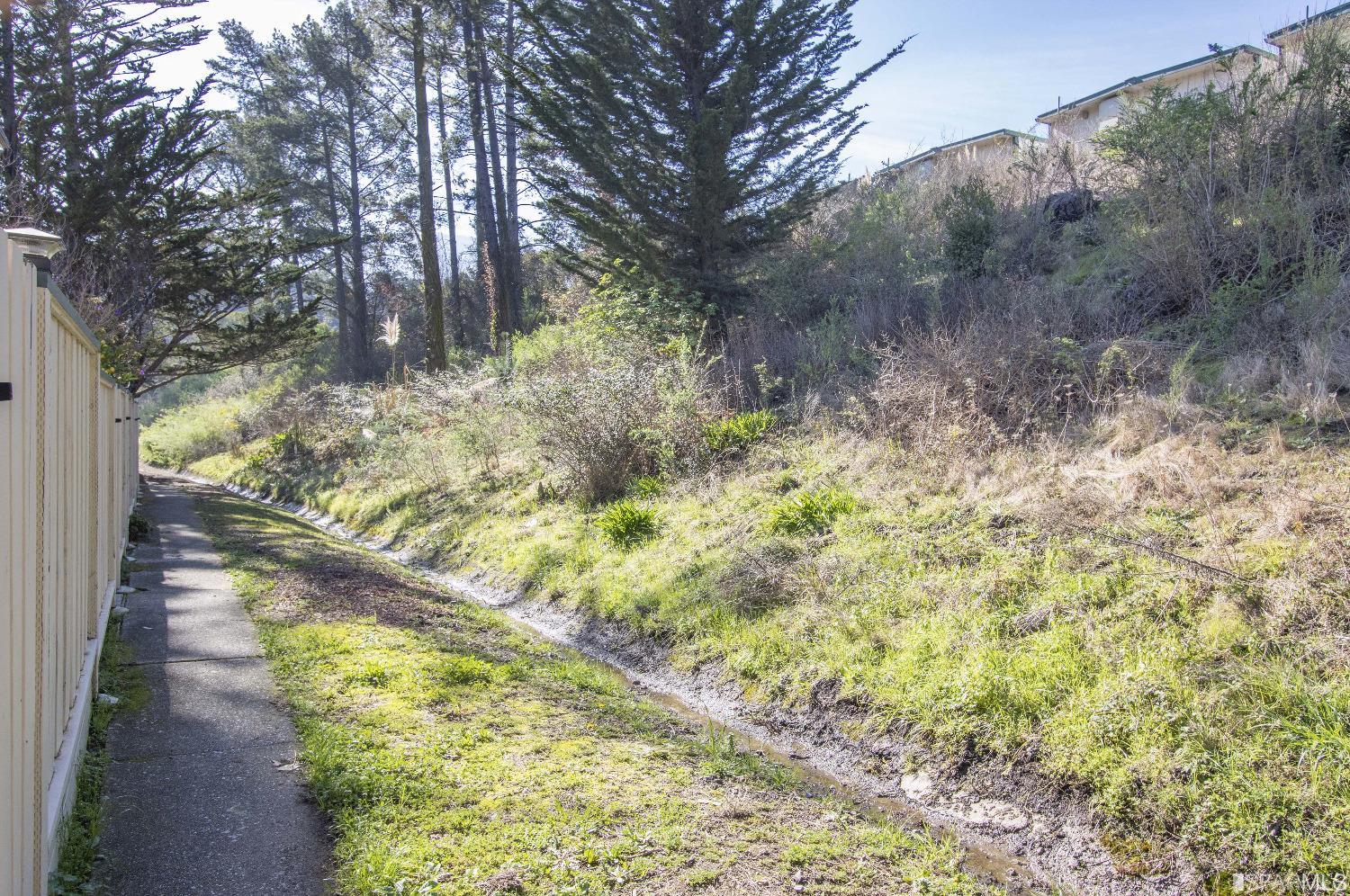 1253 Terra Nova Boulevard Pacifica, CA 94044 - Photo 18 of 23 a view of a yard with plants and large trees