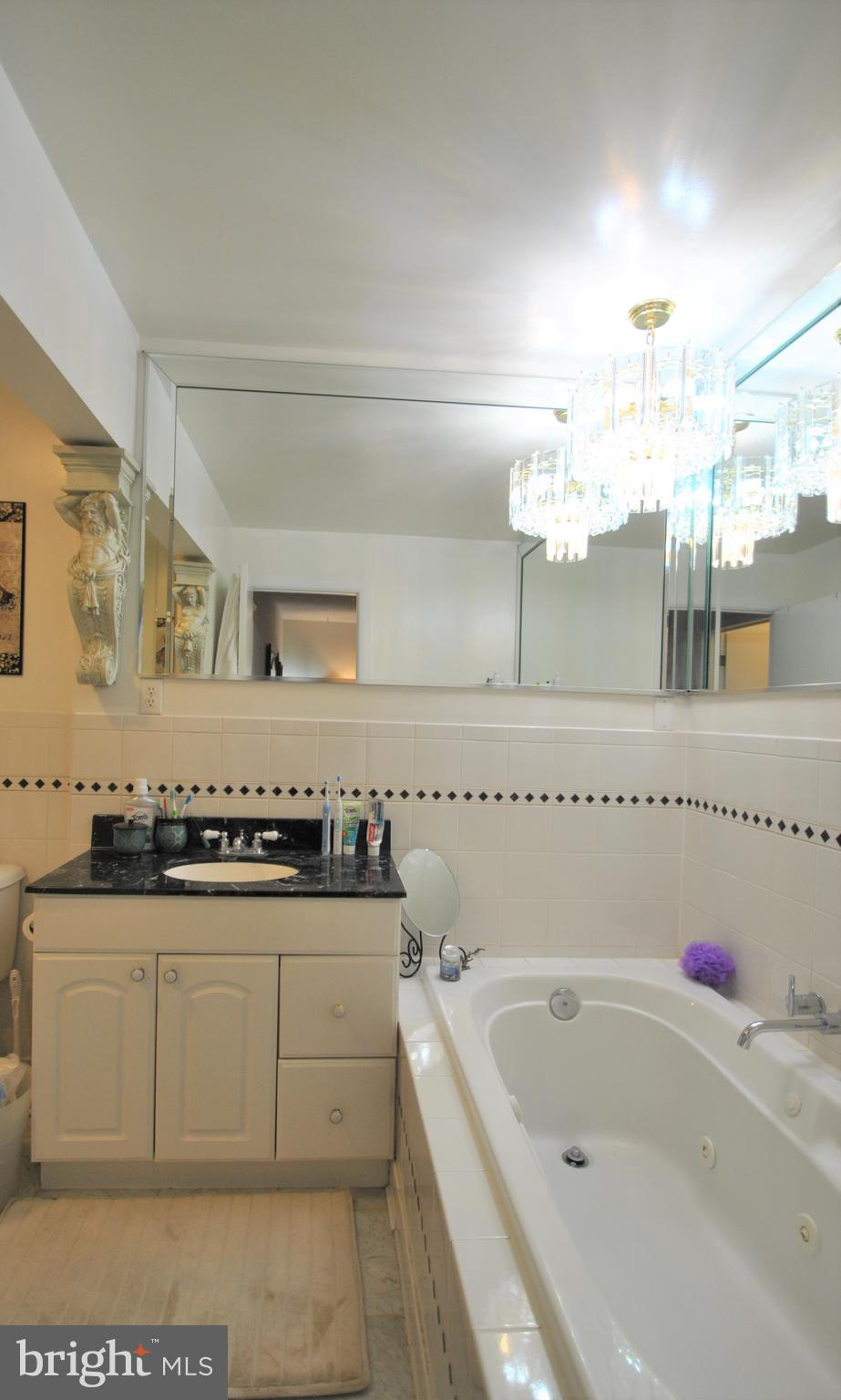 2057 Wethersfield Court Reston, VA 20191 - Photo 36 of 41 Master Bathroom
