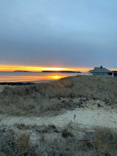 a view of a dry yard with wooden floor and fence