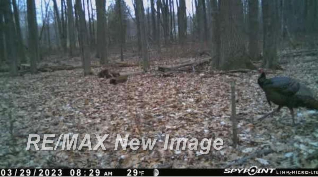 3236 East Moore Road Birch Run, MI 48415 - Photo 32 of 36 Gallery Image 32
