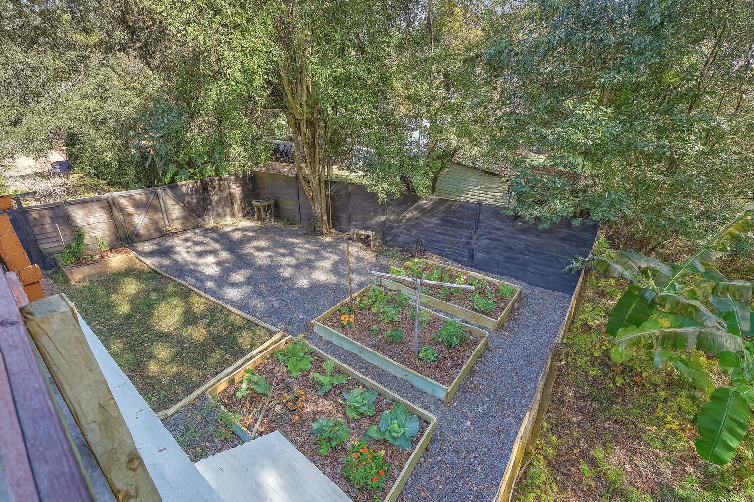 3471 Cynthia Drive Johns Island, SC 29455 - Photo 38 of 46 Cynthia garden2