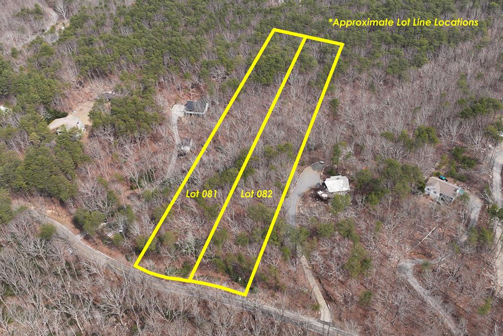 0 Henderson Mountain Road Jasper, GA 30143 - Photo 1 of 18 Main View