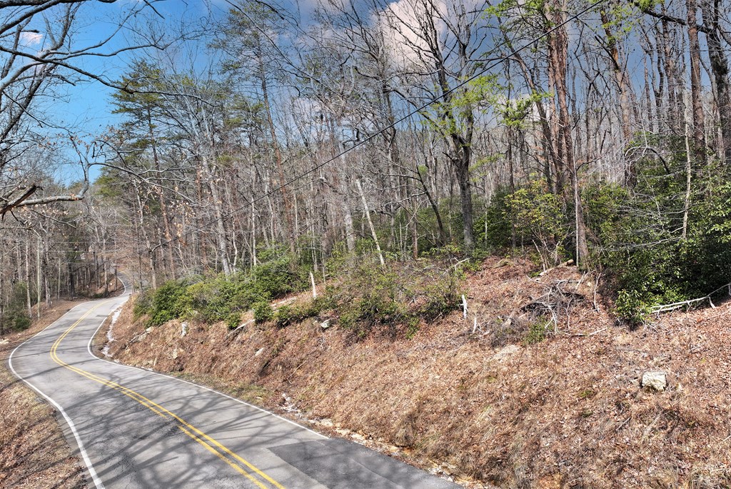 0 Henderson Mountain Road Jasper, GA 30143 - Photo 11 of 18