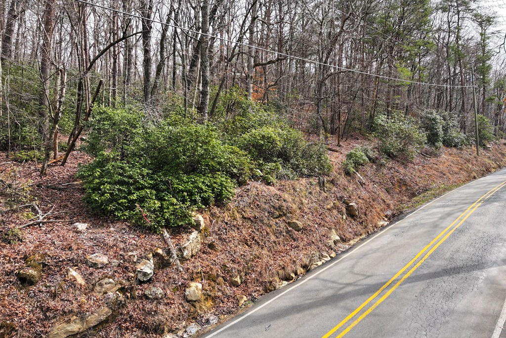 0 Henderson Mountain Road Jasper, GA 30143 - Photo 12 of 18