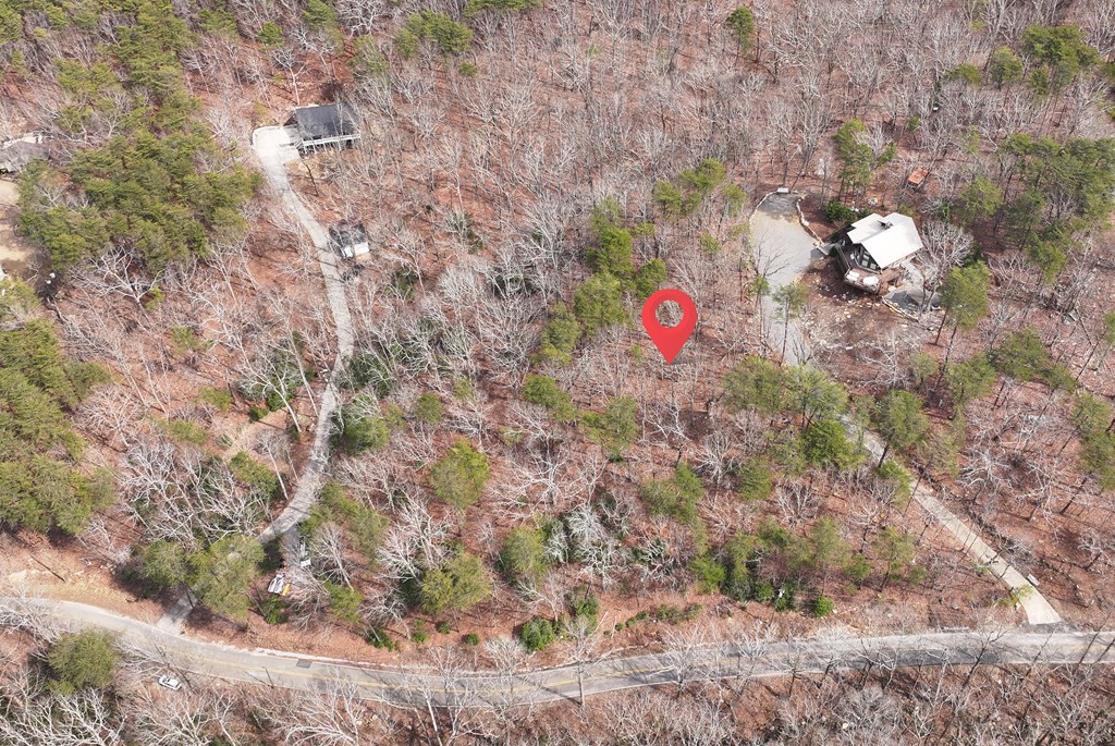 0 Henderson Mountain Road Jasper, GA 30143 - Photo 13 of 18