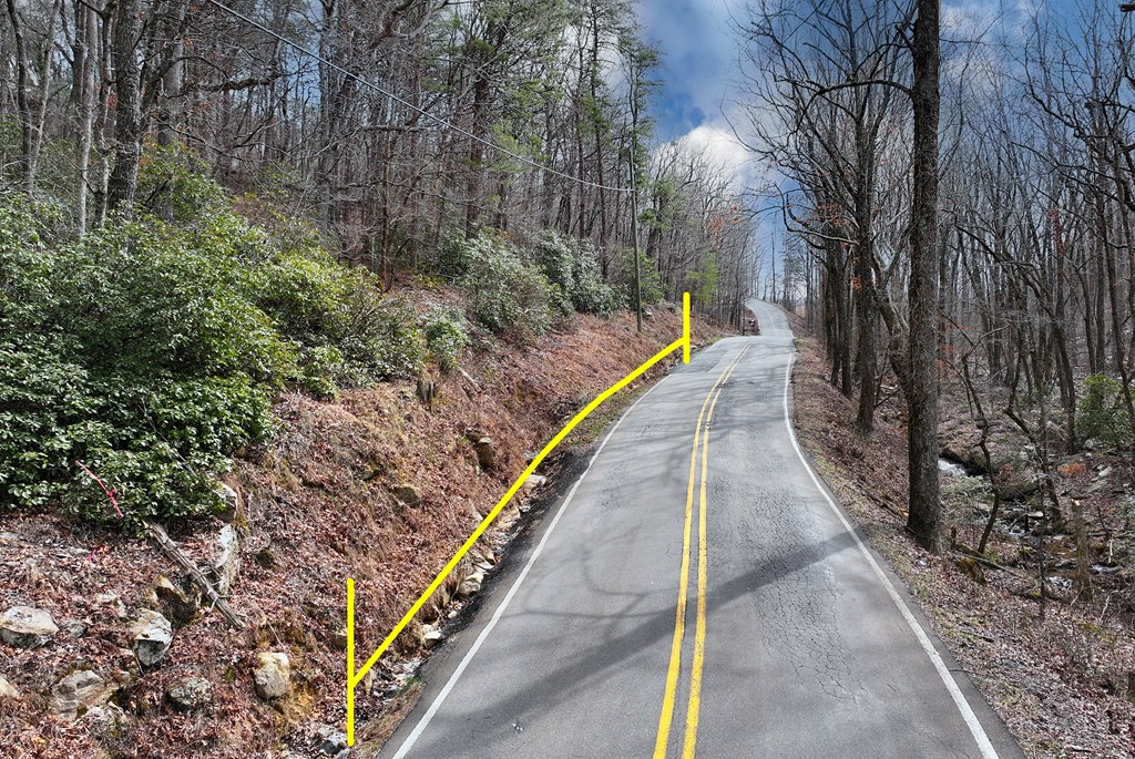 0 Henderson Mountain Road Jasper, GA 30143 - Photo 16 of 18