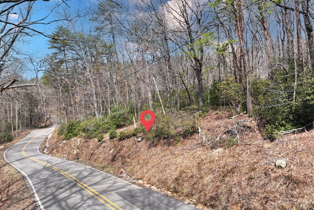 0 Henderson Mountain Road Jasper, GA 30143 - Photo 18 of 18