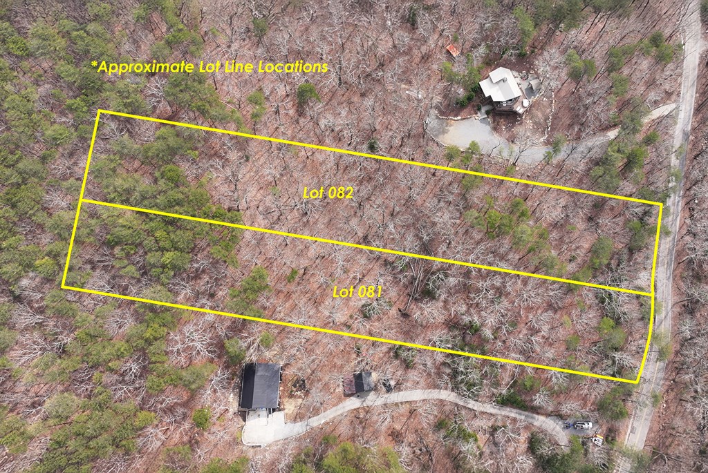 0 Henderson Mountain Road Jasper, GA 30143 - Photo 2 of 18