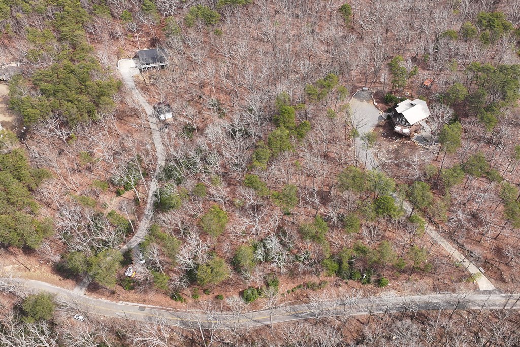 0 Henderson Mountain Road Jasper, GA 30143 - Photo 3 of 18