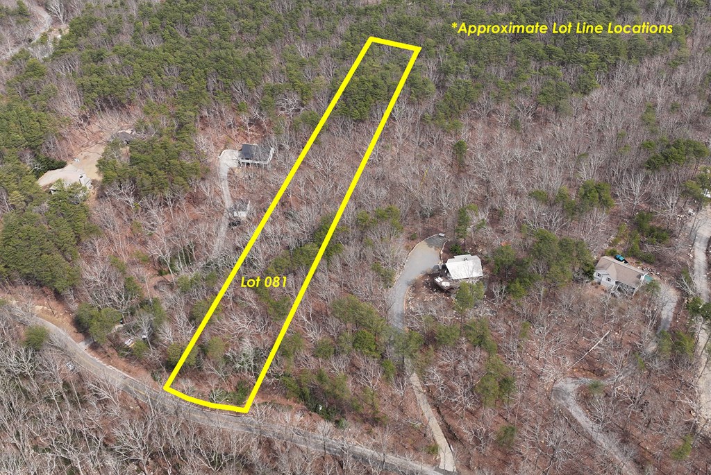 0 Henderson Mountain Road Jasper, GA 30143 - Photo 4 of 18