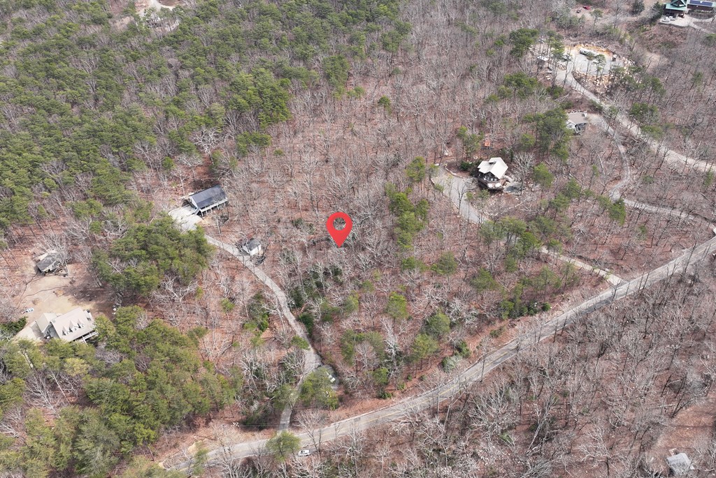 0 Henderson Mountain Road Jasper, GA 30143 - Photo 5 of 18