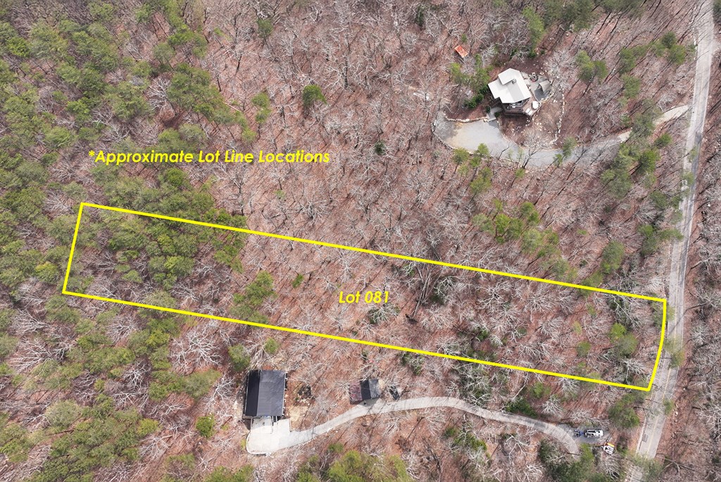 0 Henderson Mountain Road Jasper, GA 30143 - Photo 6 of 18