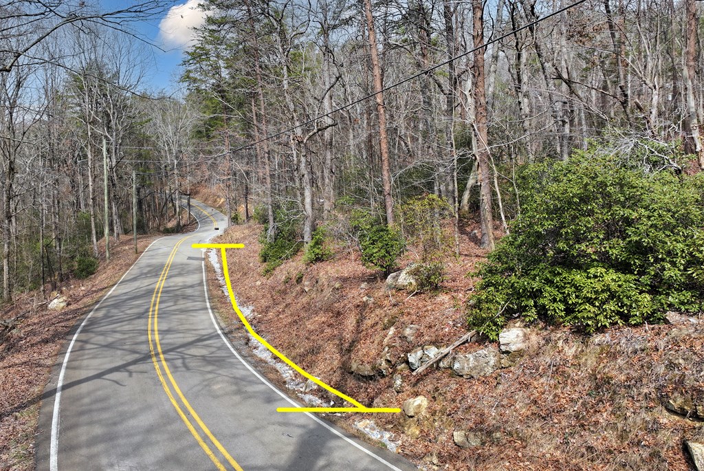 0 Henderson Mountain Road Jasper, GA 30143 - Photo 8 of 18