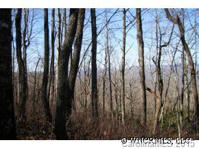 46 Pepperbush Road, Unit 46 Brevard, NC 28712 - Photo 4 of 6 Gallery Image 4