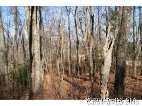 46 Pepperbush Road, Unit 46 Brevard, NC 28712 - Photo 5 of 6 Gallery Image 5