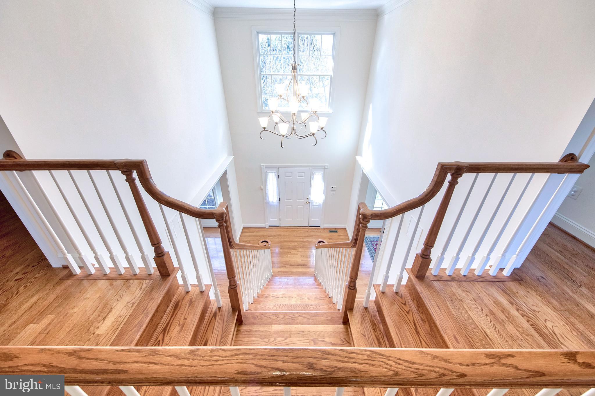 1713 Raleigh Hill Road Vienna, VA 22182 - Photo 2 of 30 Grand Foyer