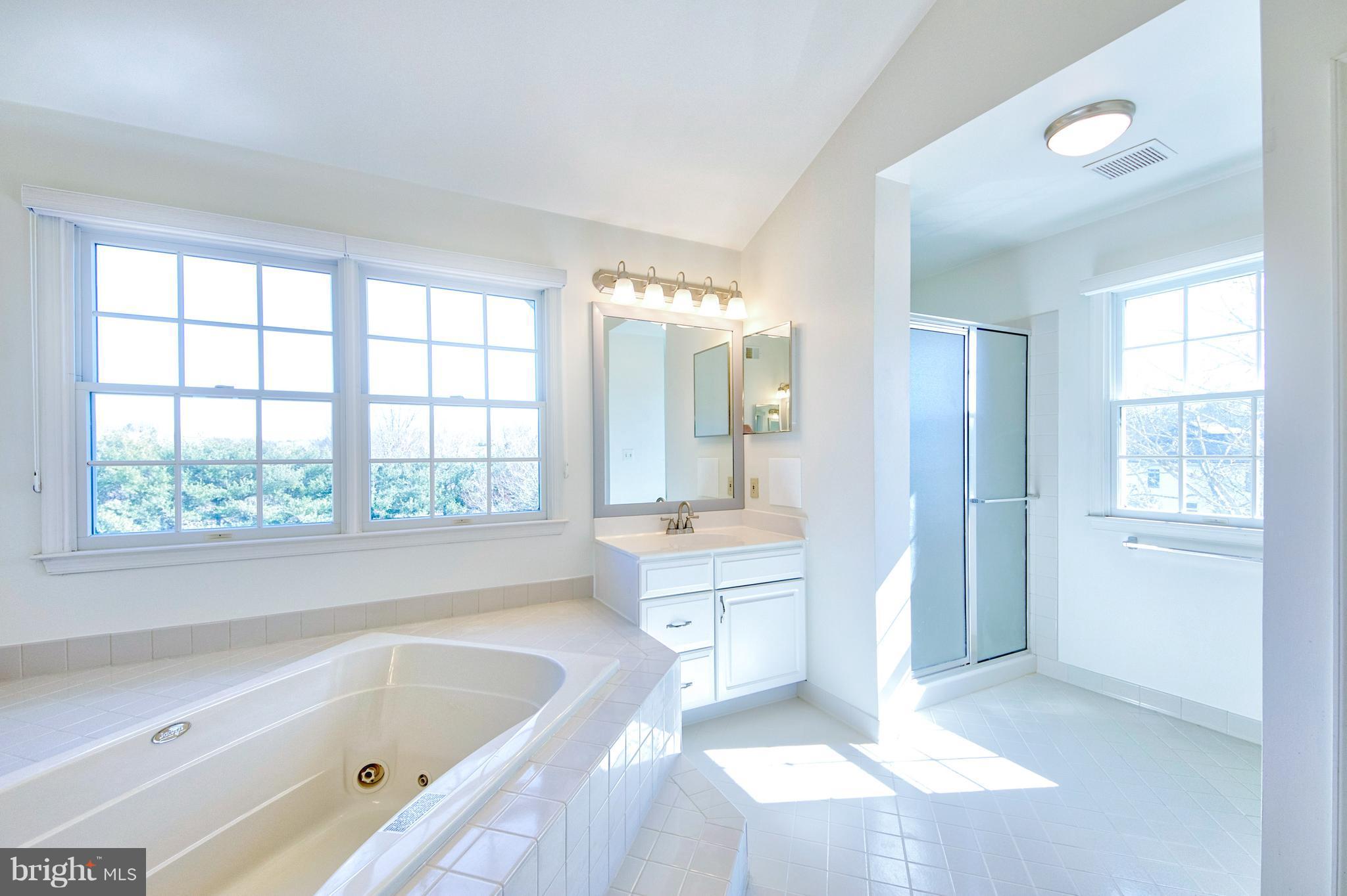 1713 Raleigh Hill Road Vienna, VA 22182 - Photo 15 of 30 Bath (Master)